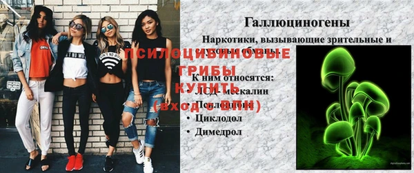 бошки Алексеевка