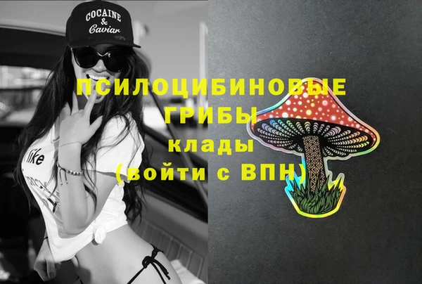 ПСИЛОЦИБИНОВЫЕ ГРИБЫ Алзамай