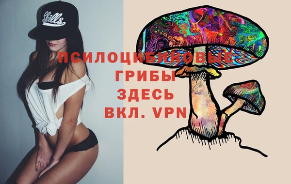 ПСИЛОЦИБИНОВЫЕ ГРИБЫ Алзамай